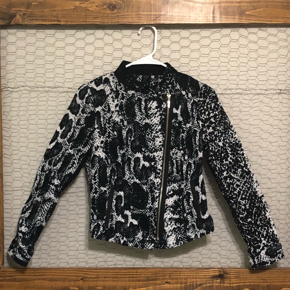 Lena Gabrielle Eyelet Snake Print Zippered Jacket
